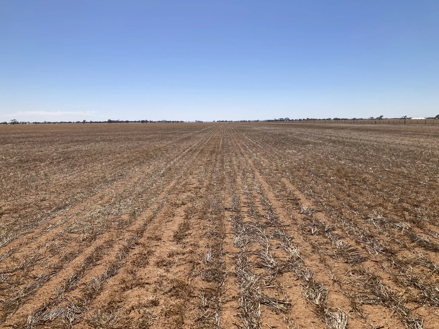 Additional image 3 of Lot 1 Culgoa-Lalbert Road, Culgoa VIC 3530