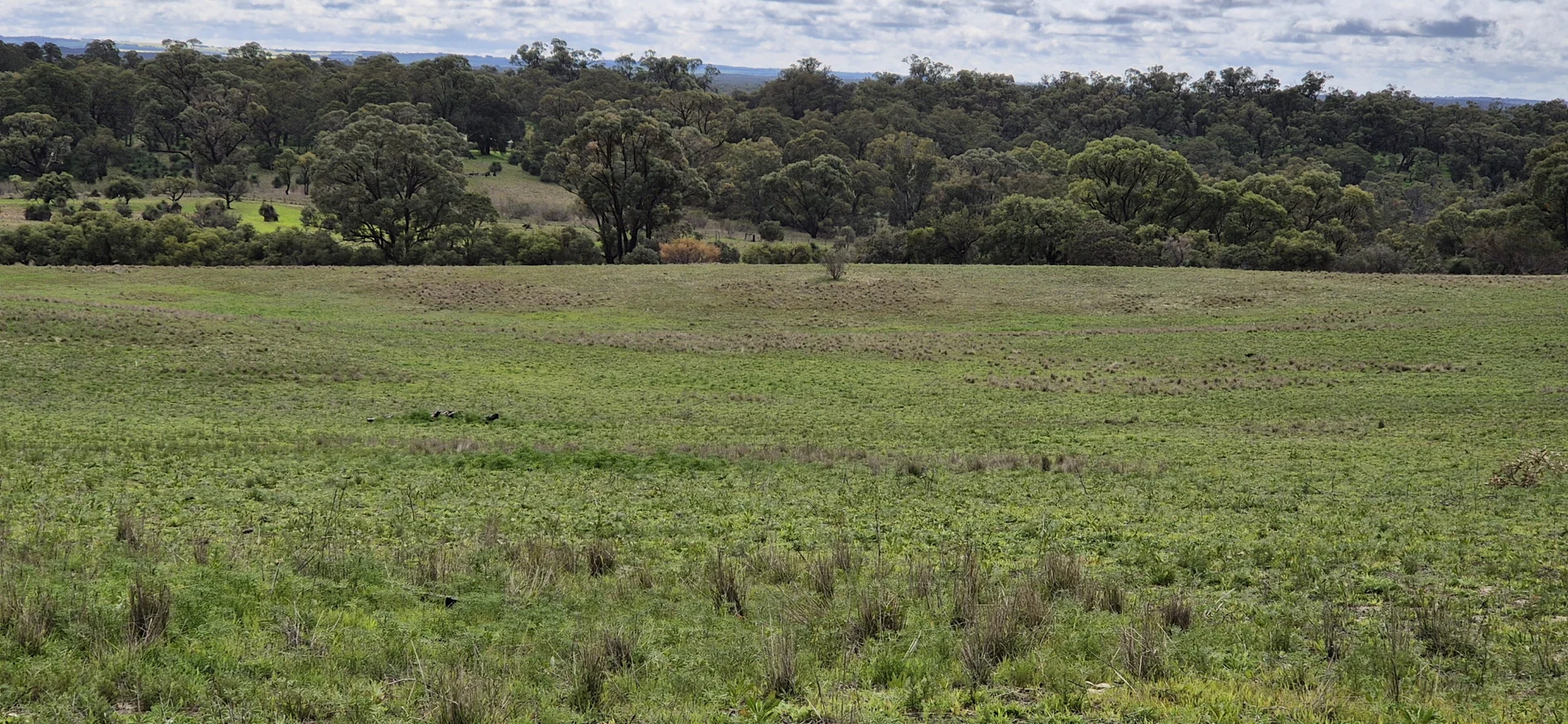 Additional image 18 of 197 Millbank Road, Cowalla WA 6503