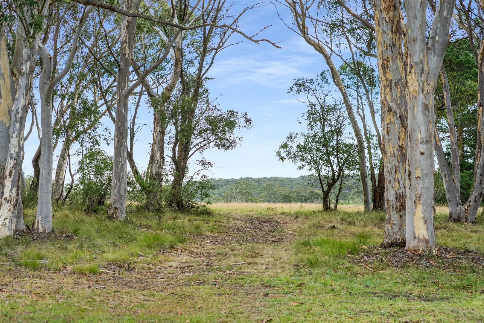 Additional image 22 of 819 Wombeyan Caves Road, High Range NSW 2575