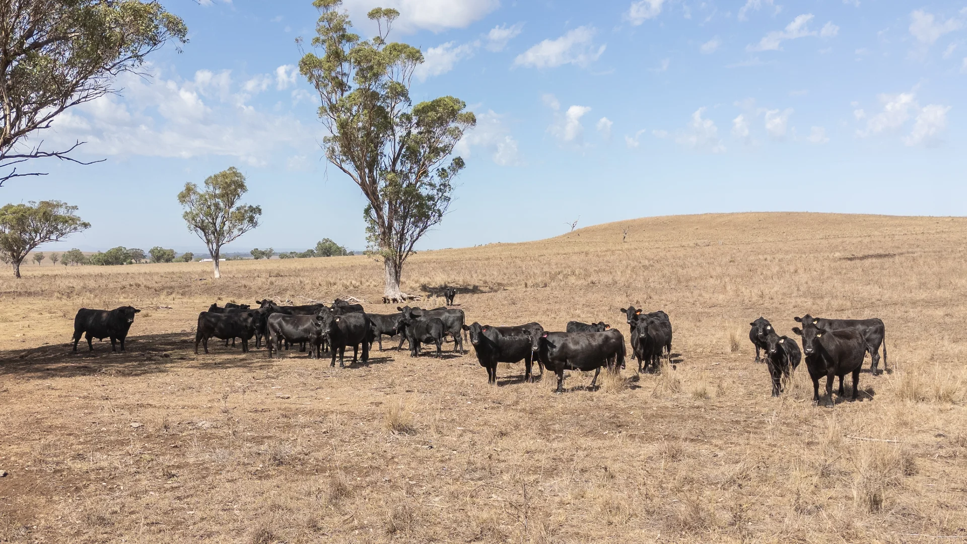 Additional image 2 of 'Windermere' 5518 Golden Highway, Merriwa NSW 2329