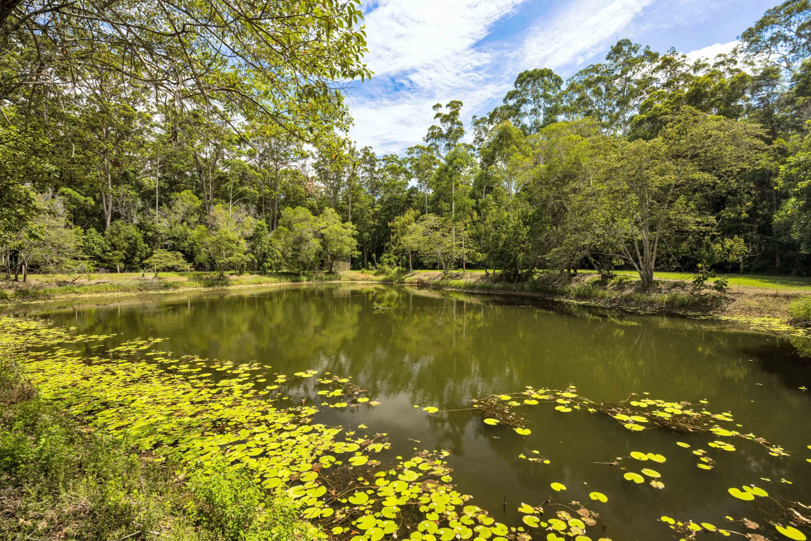 Additional image 50 of 142 Mary River Road, Cooroy QLD 4563