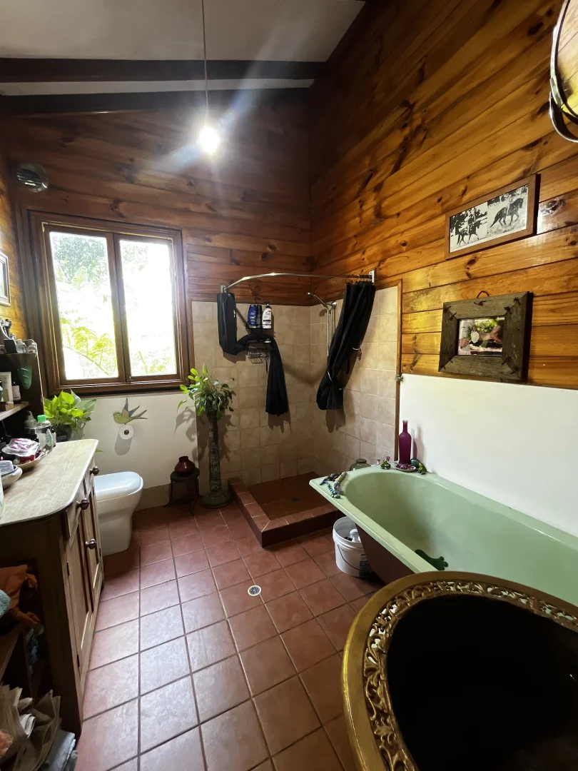 Additional image 8 of 1254 Afterlee Road, Kyogle NSW 2474