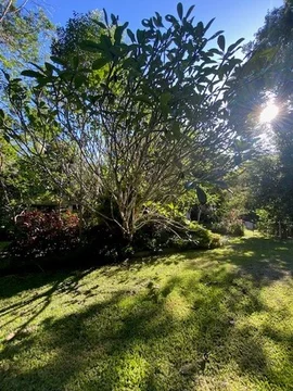 258 Ganyan Drive, Speewah QLD 4881