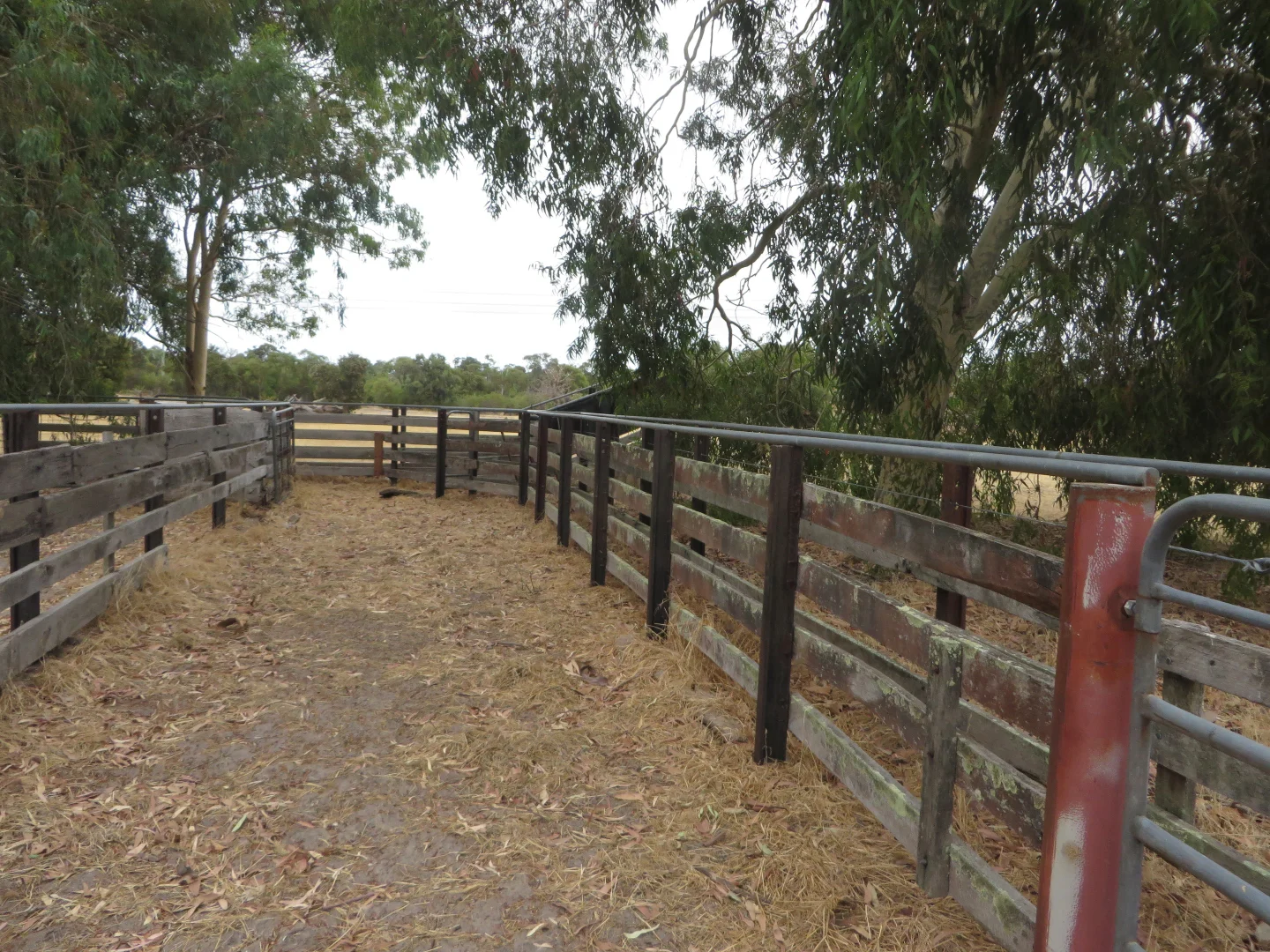 Additional image 23 of 89 Alexander Road, Waroona WA 6215