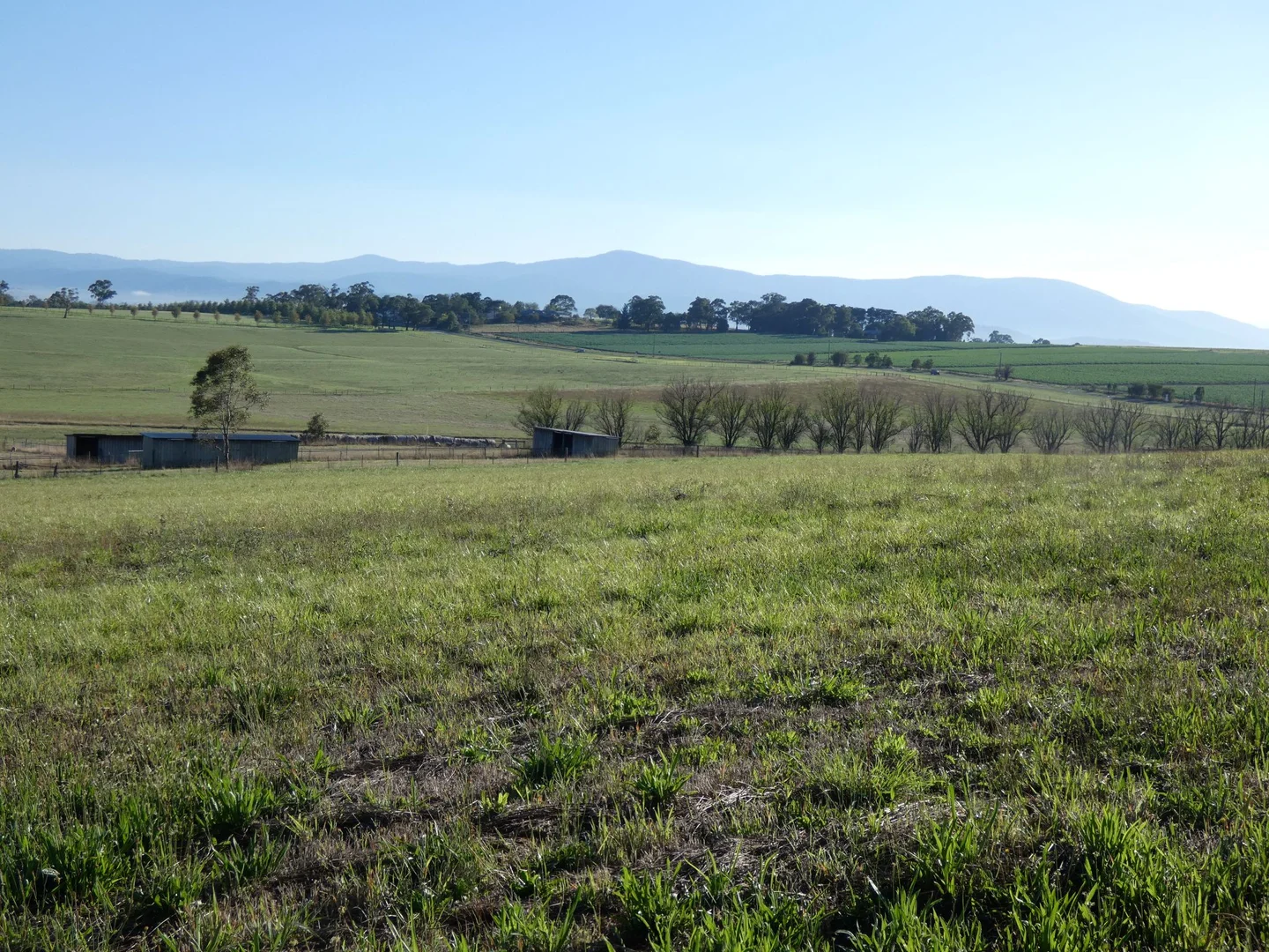 Additional image 9 of 15 Lawler Lane, Coldstream VIC 3770