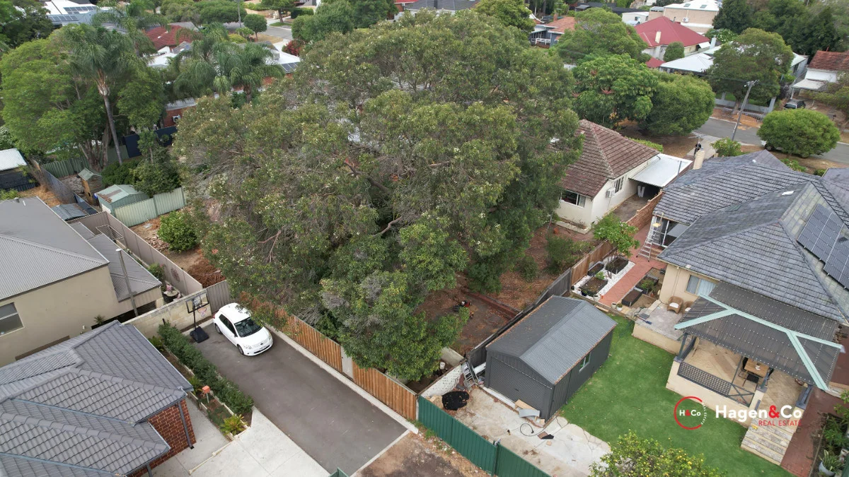 Additional image 25 of 252 Ravenscar Street, Doubleview WA 6018