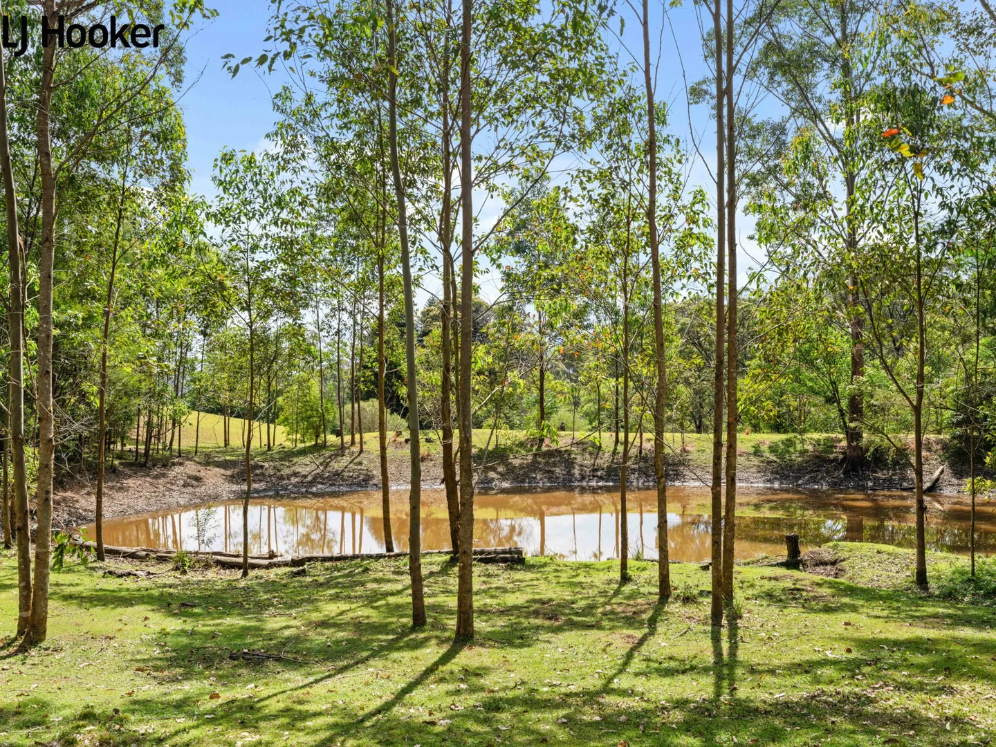 Additional image 30 of 788 Bugong Road, Budgong, Kangaroo Valley NSW 2577