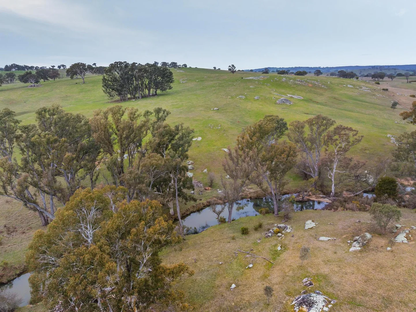 Additional image 5 of 67 Owens Road, Elphinstone VIC 3448