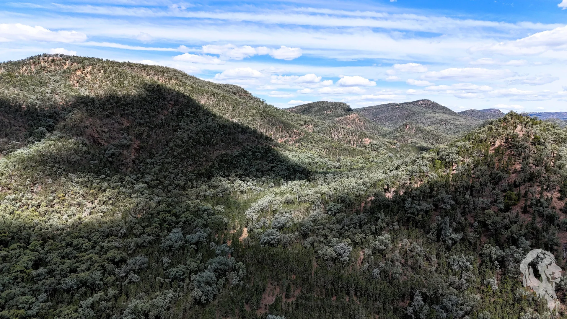 Additional image 5 of 312 Spion Kop Road, Maules Creek NSW 2382