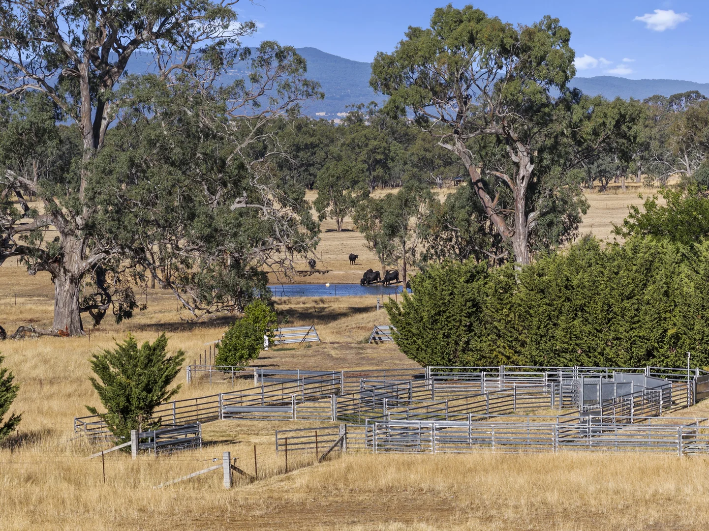 Additional image 23 of 2647 Maroondah Highway, Maindample VIC 3723