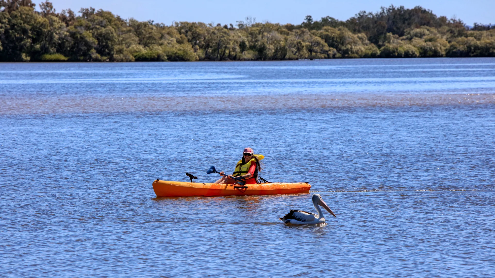 Additional image 9 of 9A/Lot2 Conrad Close, Iluka NSW 2466