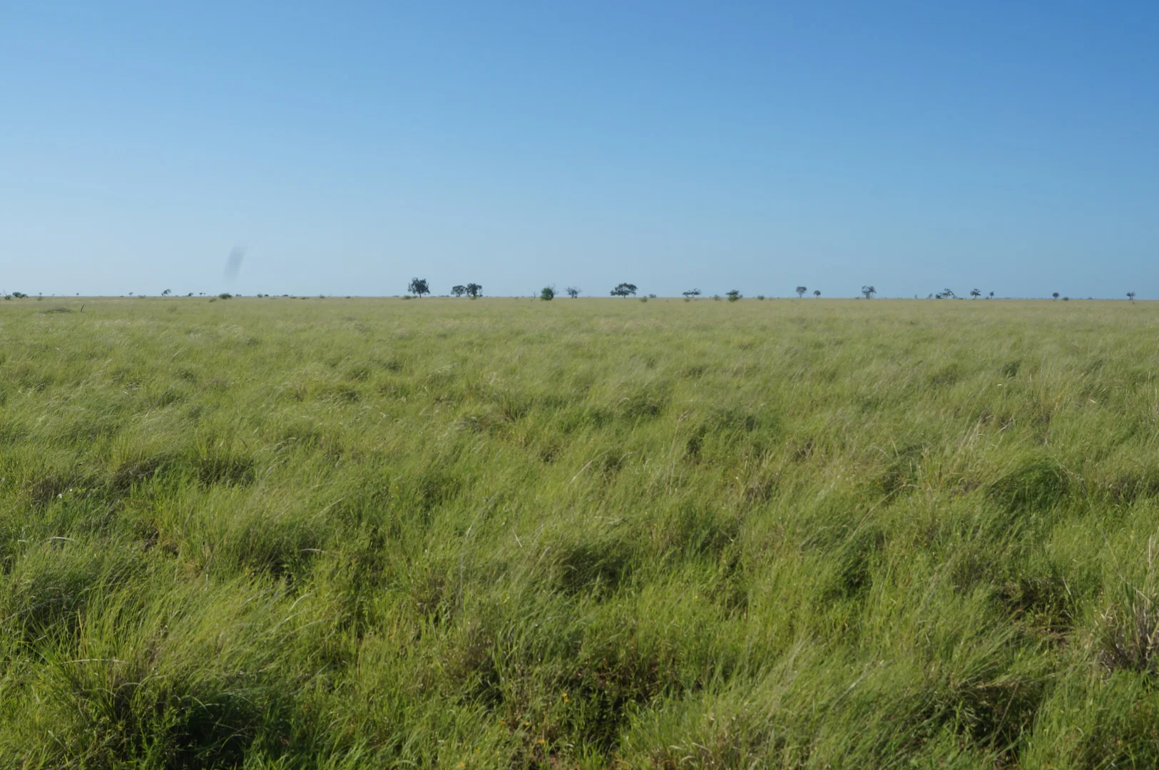 Additional image 8 of 1 Baratria Road, Longreach QLD 4730