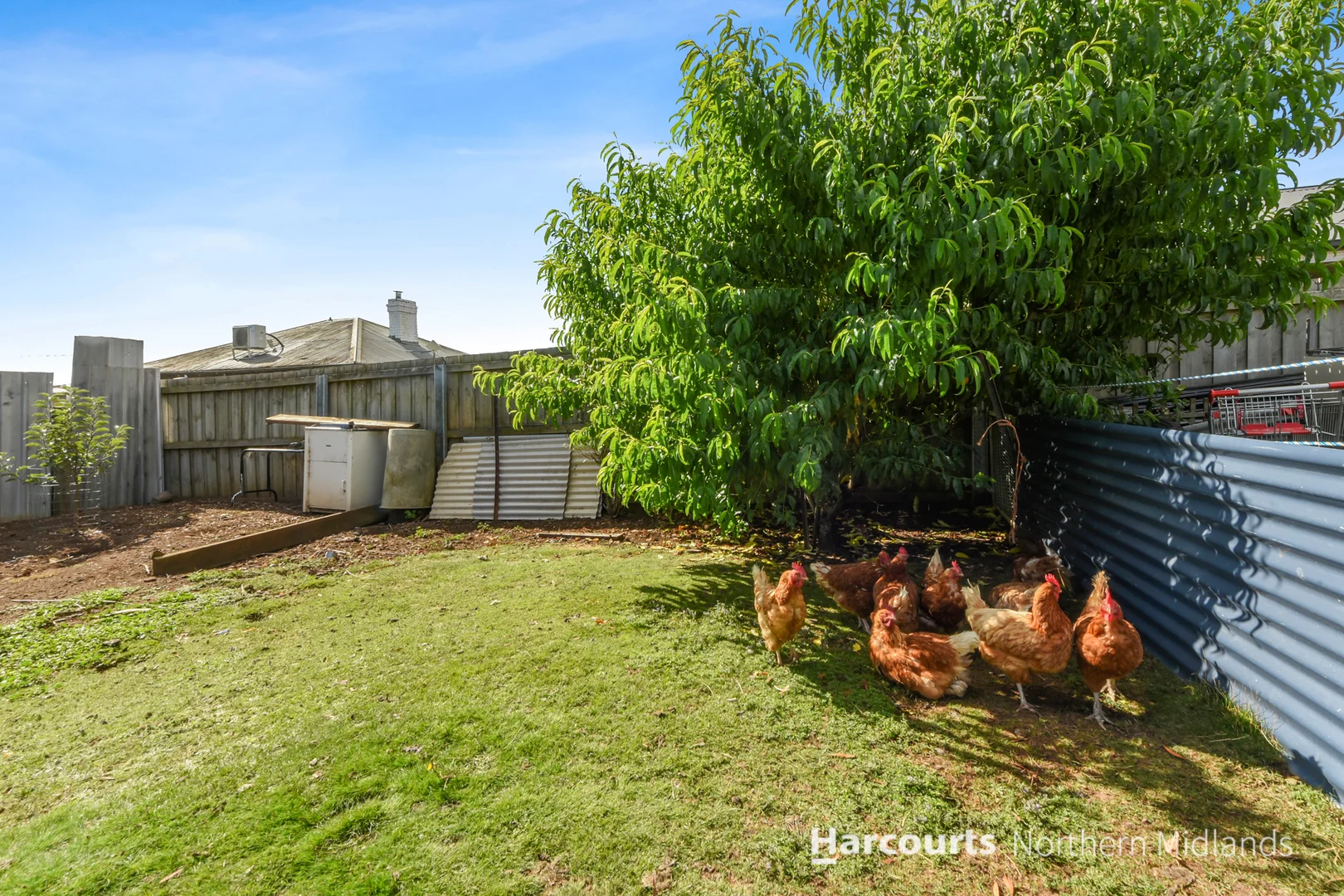 Additional image 26 of 28 Main Street, Cressy TAS 7302