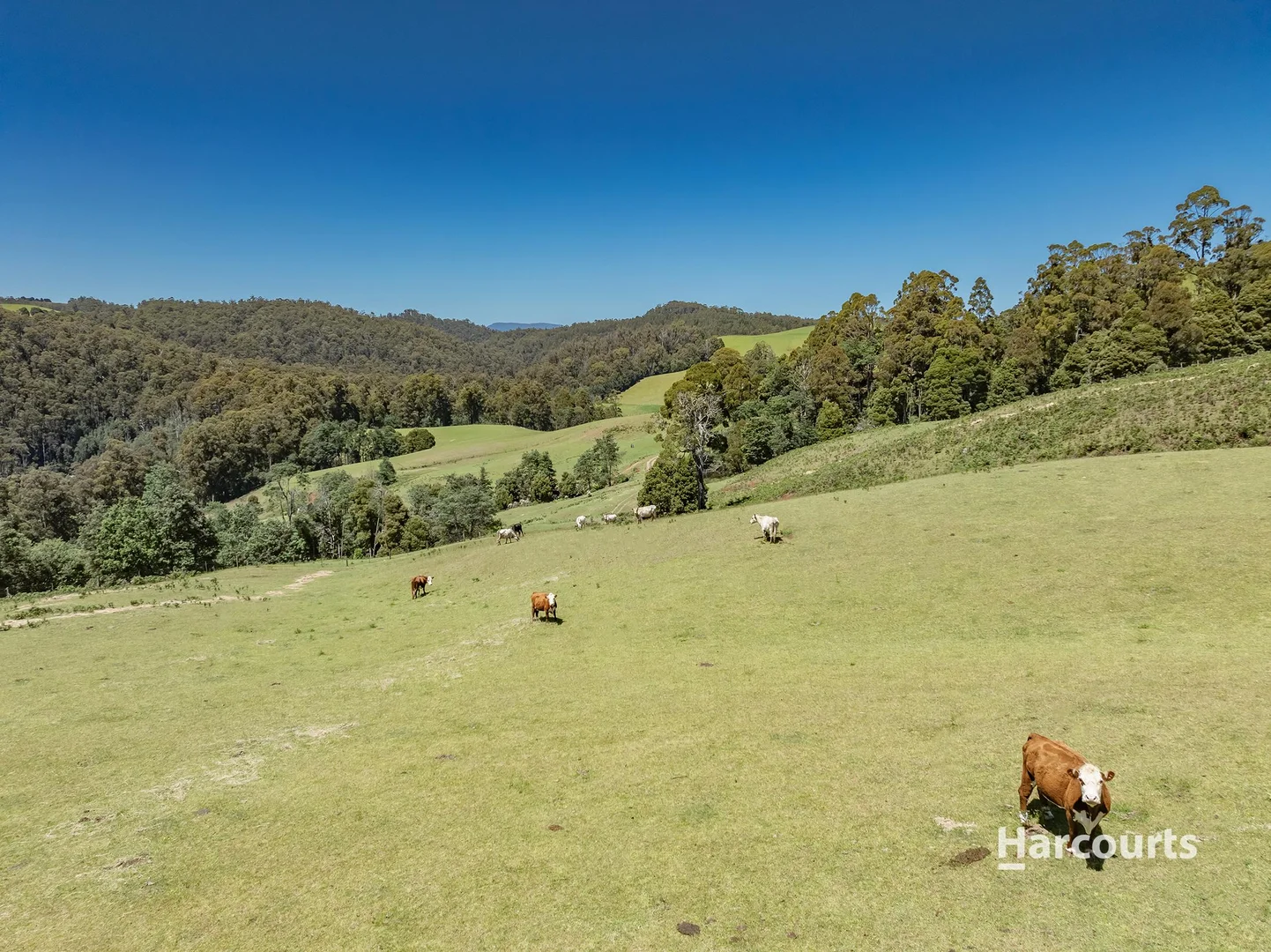 Additional image 6 of 00 Keetanah Road, Natone TAS 7321