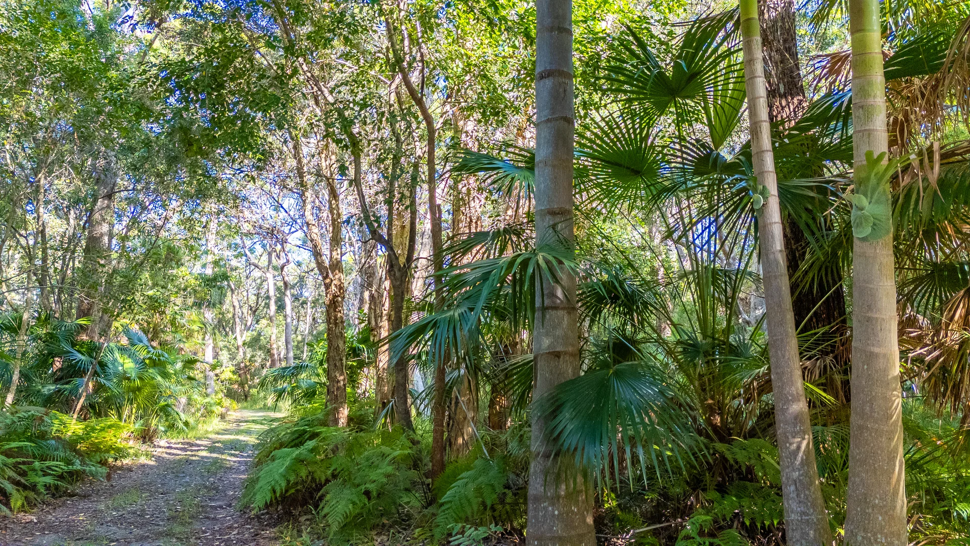 Additional image 22 of 2536 Solitary Islands Way, Arrawarra NSW 2456