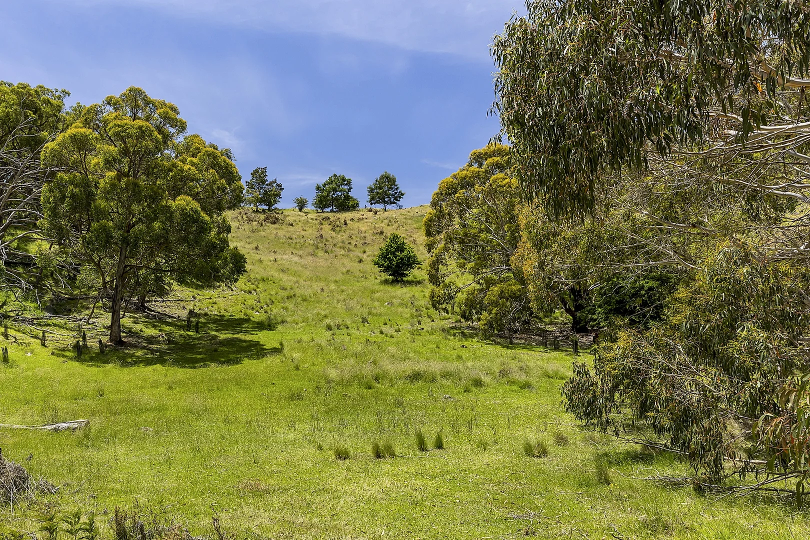 Additional image 25 of 151 Wheelwrights Road, Riddells Creek VIC 3431