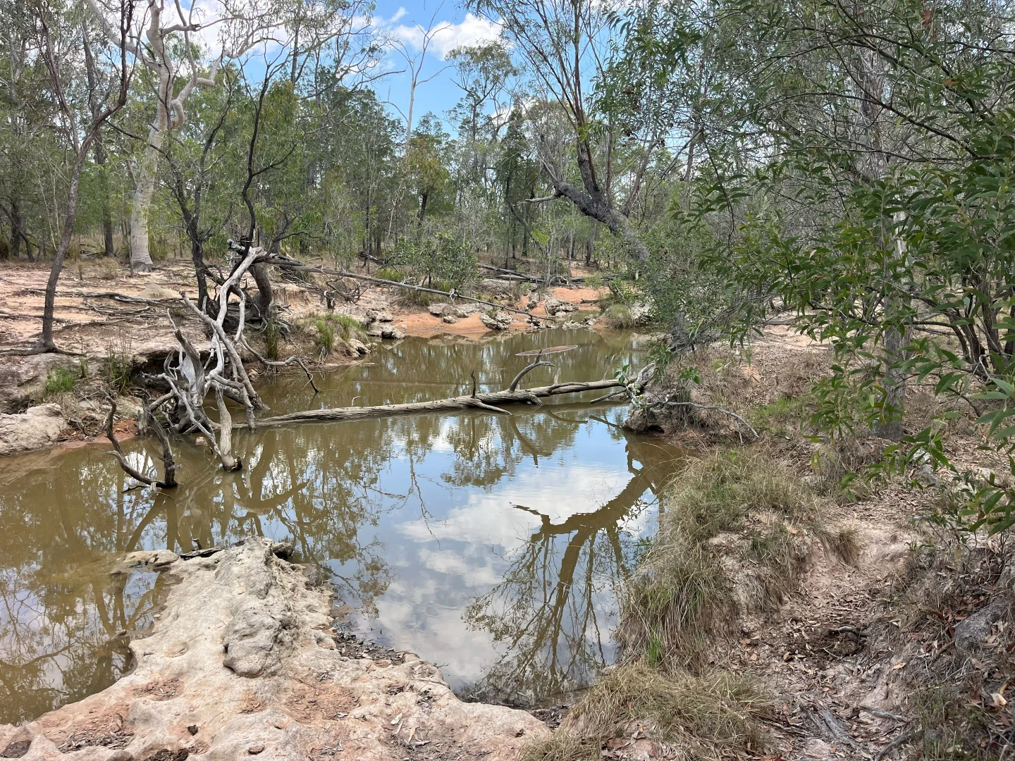 Additional image 54 of Blunder Park Station 382 Blunder Park Road, Ravenshoe QLD 4888