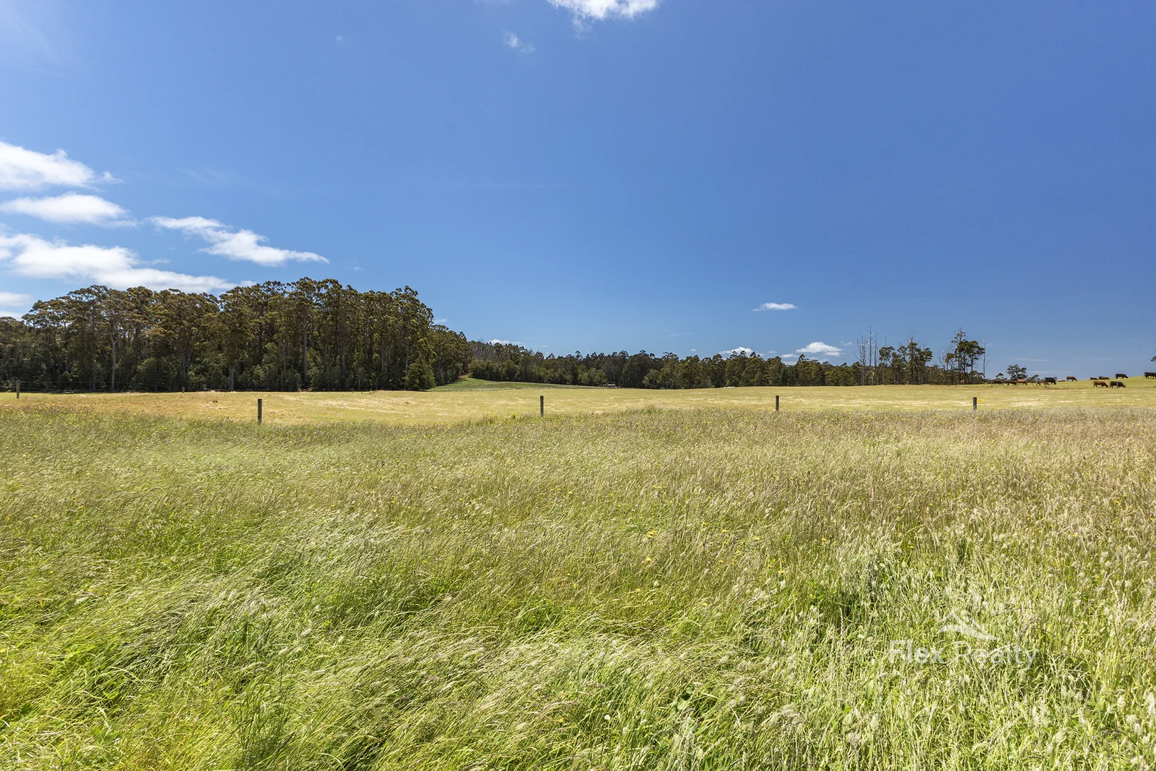 Additional image 55 of 0 Newhaven Road, Mawbanna TAS 7321