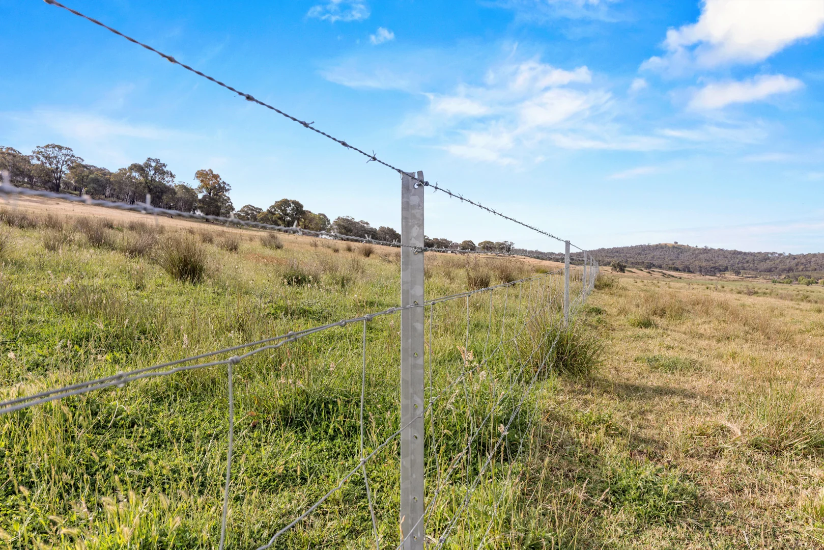 Additional image 9 of Lot 38 Gentle Destiny Road, Boorowa NSW 2586