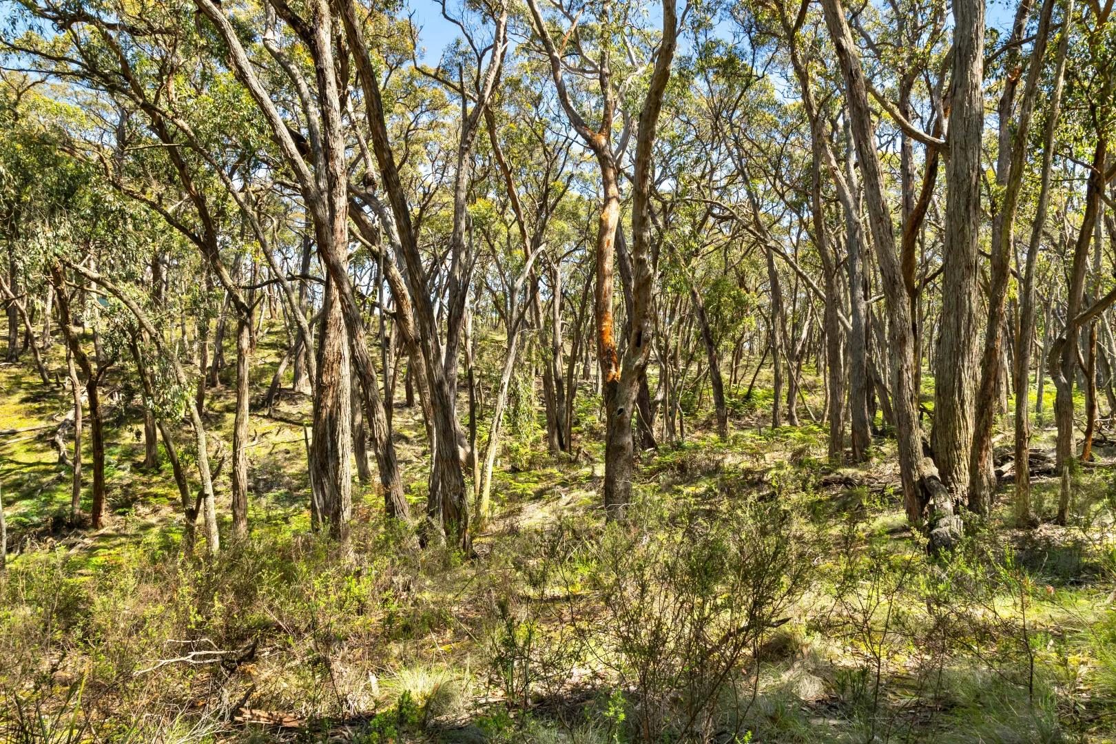 Additional image 8 of Lot 12 Rowlers Road, Snake Valley VIC 3351