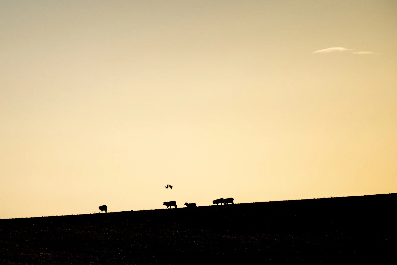 Additional image 67 of 412D Bratten Way, Tumby Bay SA 5605