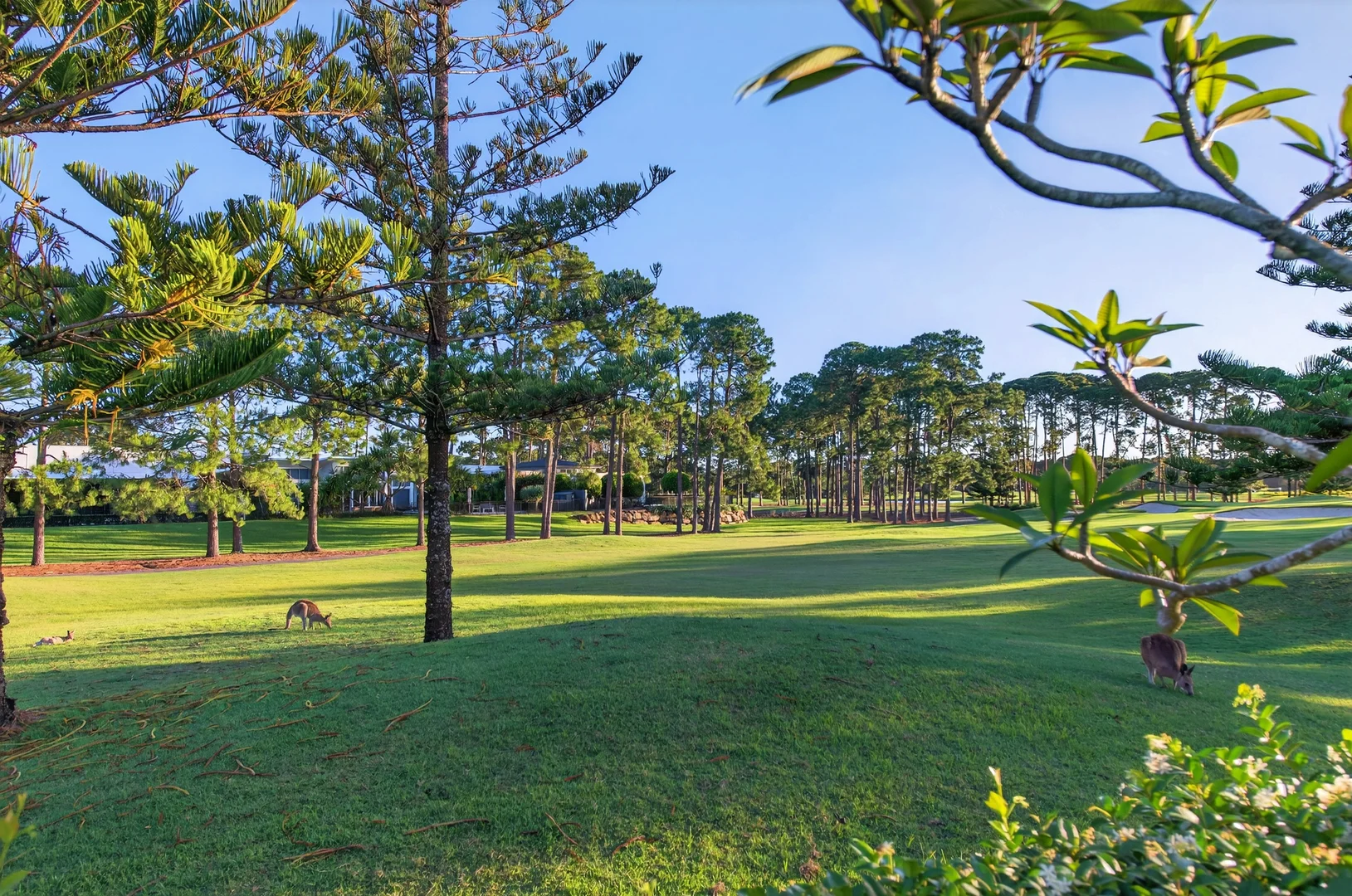 Additional image 17 of 2208 The Parkway, Sanctuary Cove QLD 4212