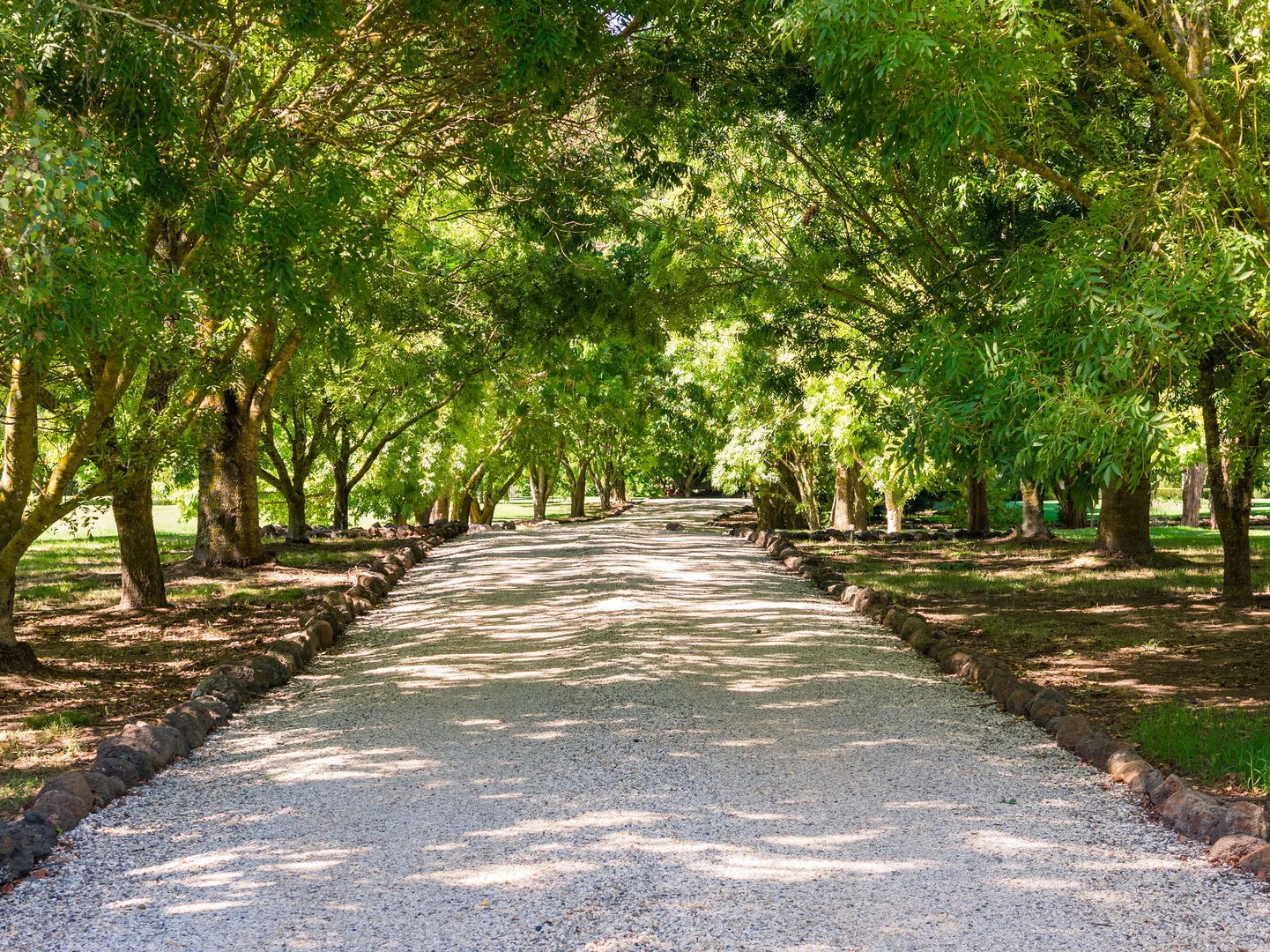 Additional image 27 of 840 Back Eildon Road, Eildon VIC 3713