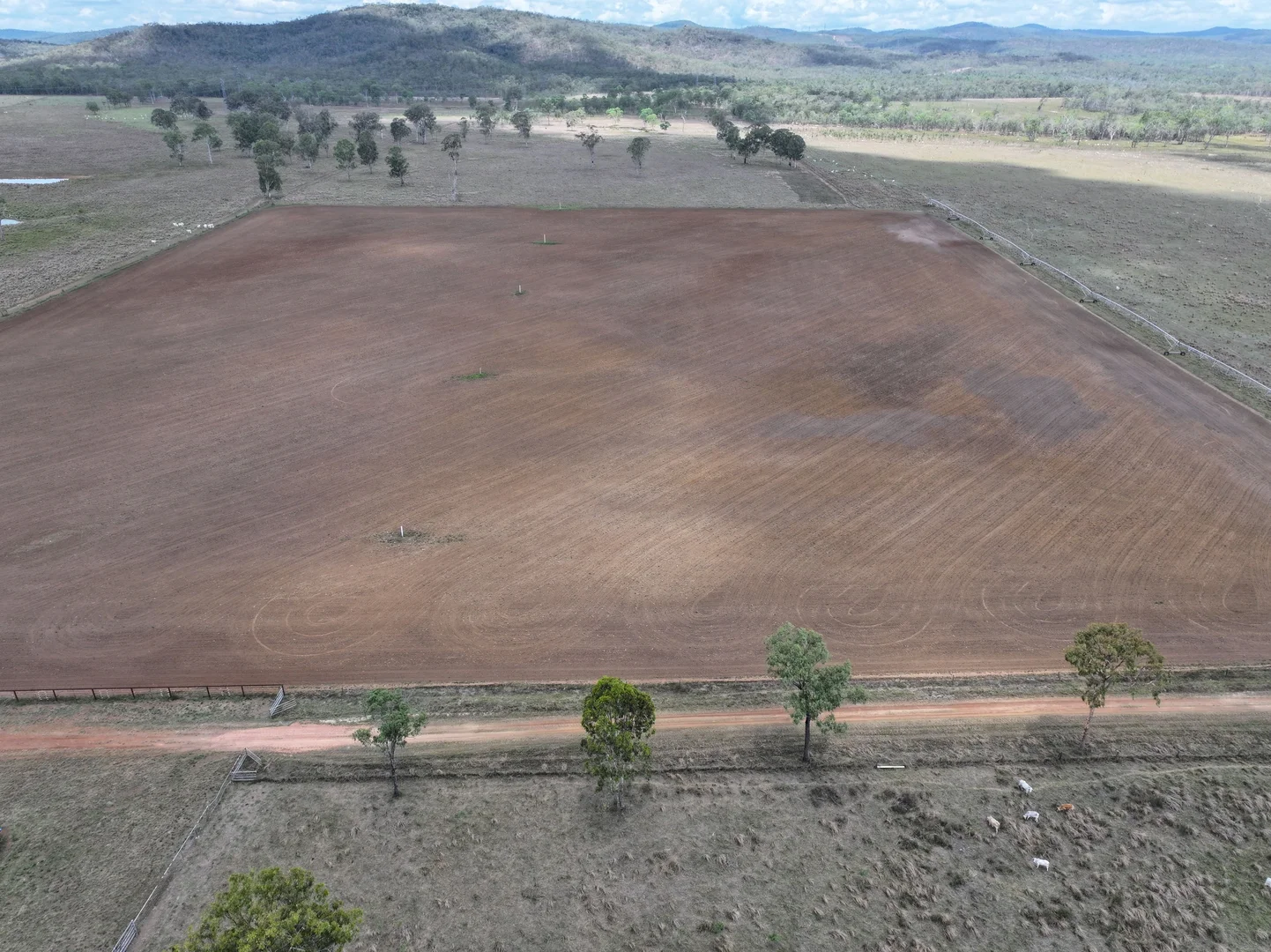 Additional image 24 of Blunder Park Station 382 Blunder Park Road, Ravenshoe QLD 4888