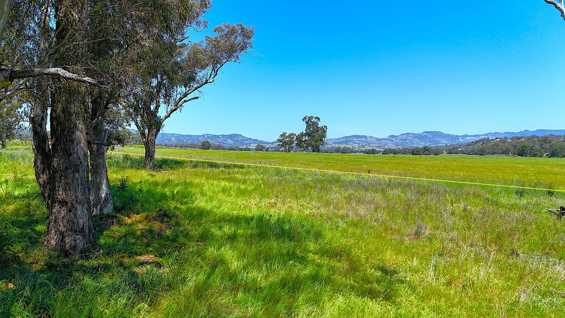 Additional image 10 of 40 Merriwa Road, Willow Tree NSW 2339