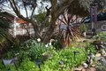 Additional image 83 of 126 Center St, Jackson, CA, 95642