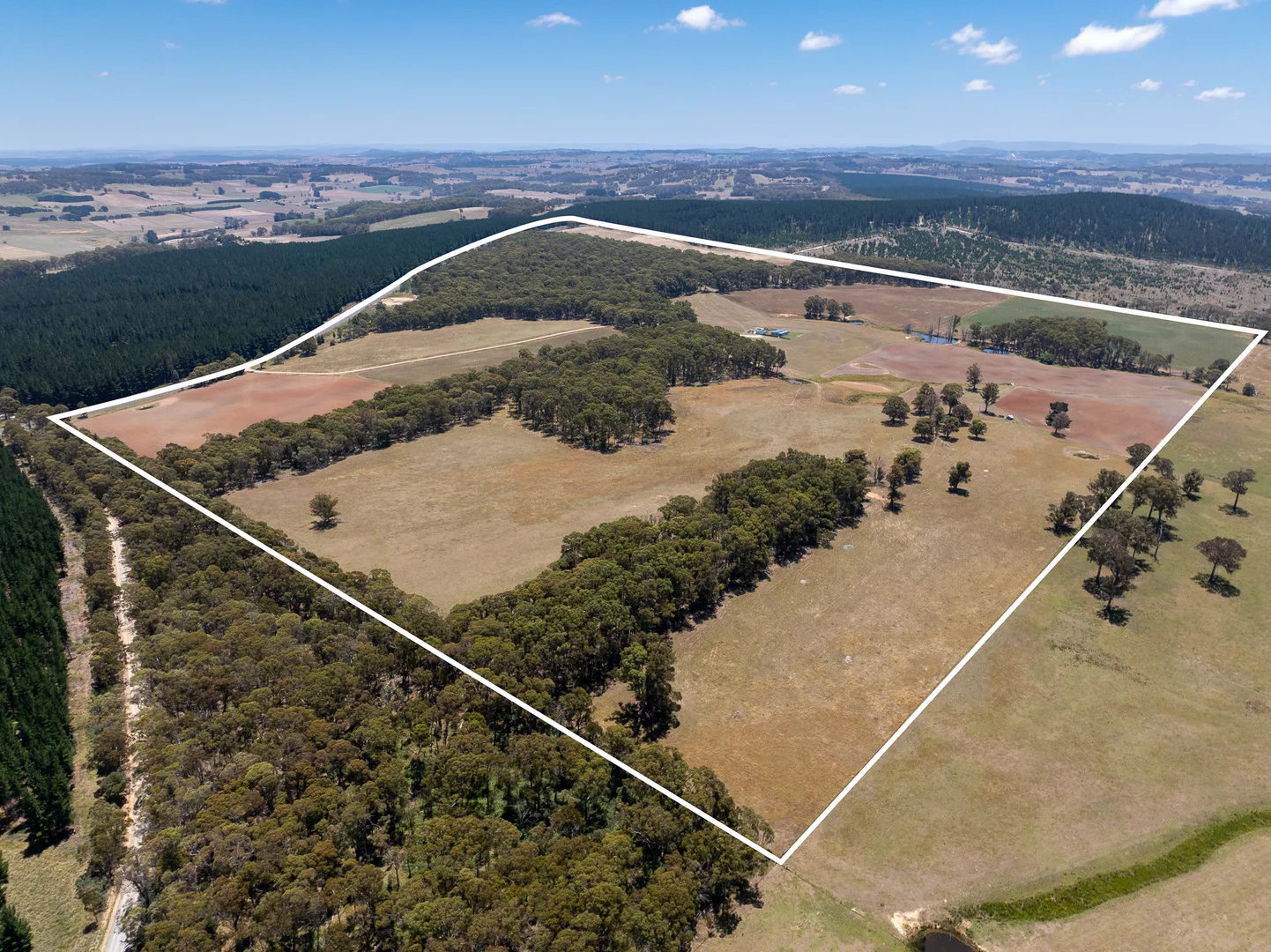 Additional image 4 of 951 Shooters Hill Road, Chatham Valley NSW 2787