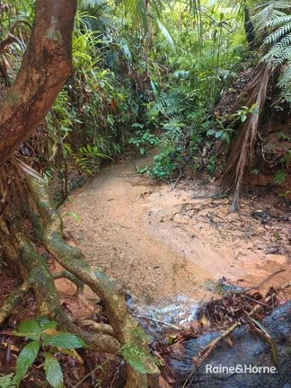 Additional image 9 of Lot 11 Milky Pine Road, Kimberley, Daintree QLD 4873