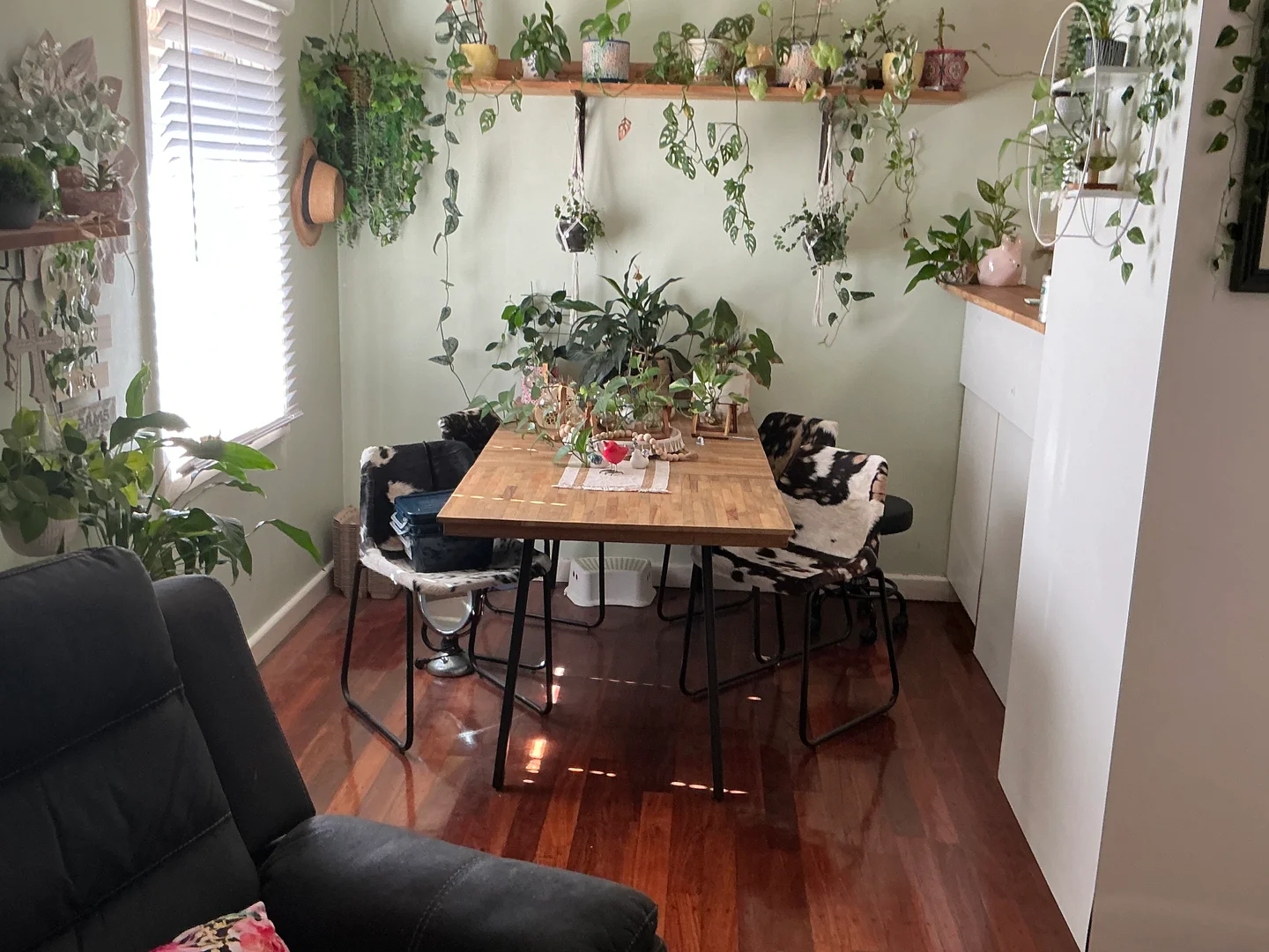 Additional image 27 of Broadwater WA 6280