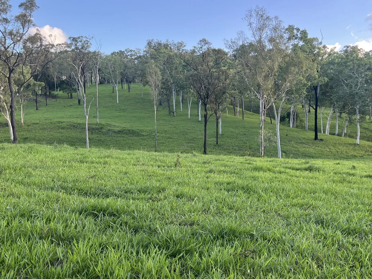 Additional image 34 of 23608 Peak Downs Highway, Eton QLD 4741