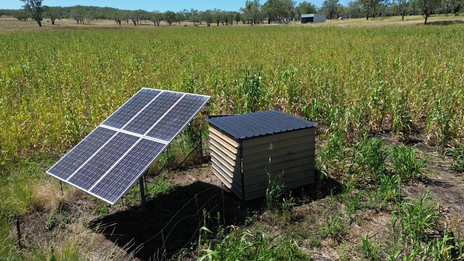 Additional image 5 of 242 Ehrlich Road, Linthorpe QLD 4356