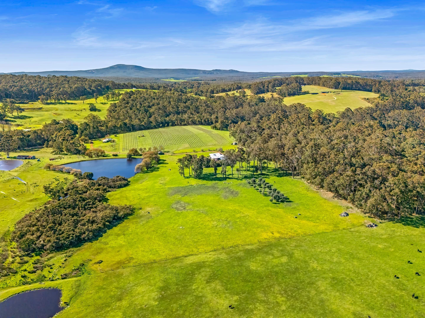 Additional image 5 of 807 Scotsdale Road, Denmark WA 6333