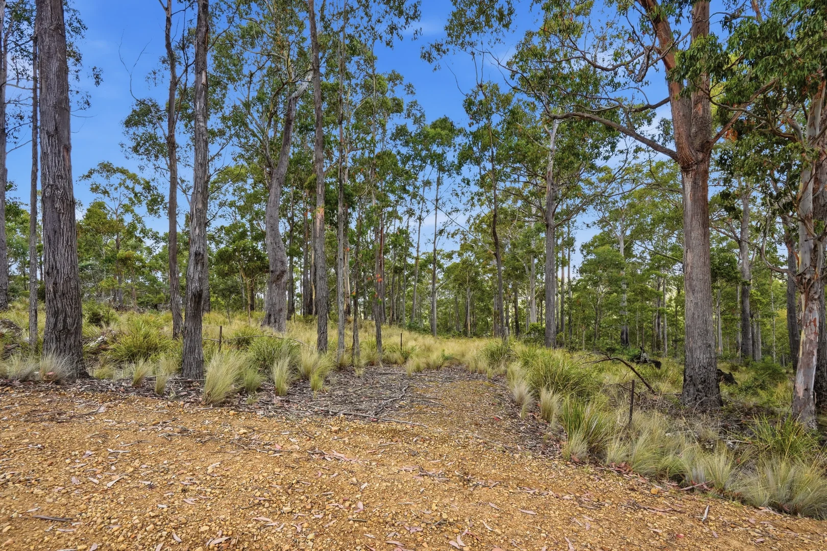 Additional image 2 of 18 Little Spit Road, Lake Leake TAS 7210