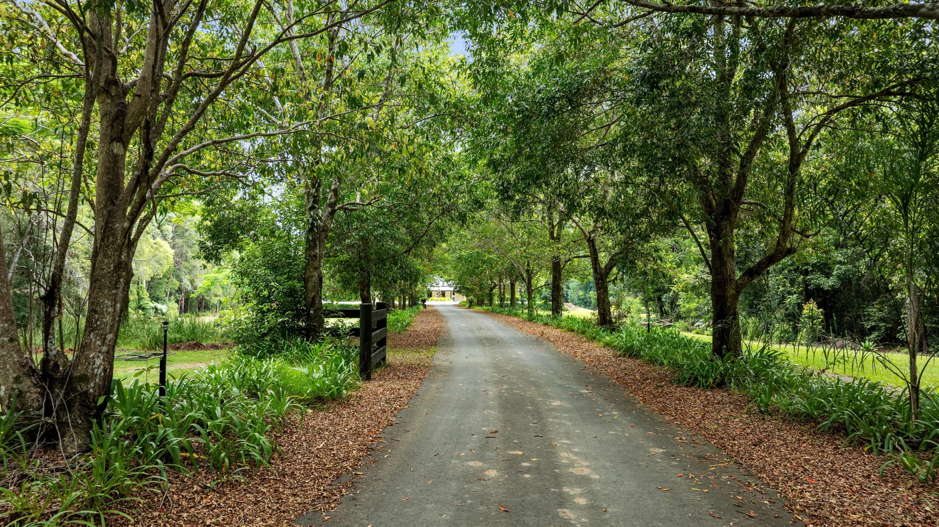 Additional image 54 of 142 Mary River Road, Cooroy QLD 4563