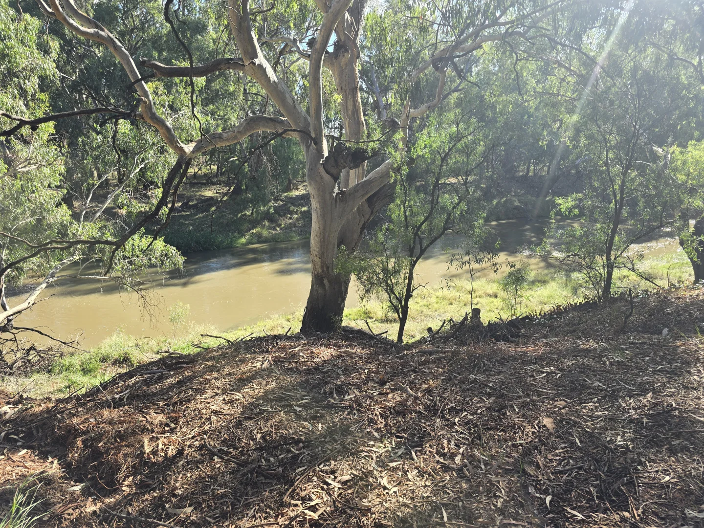 Additional image 20 of 9 Graf Street, Condobolin NSW 2877