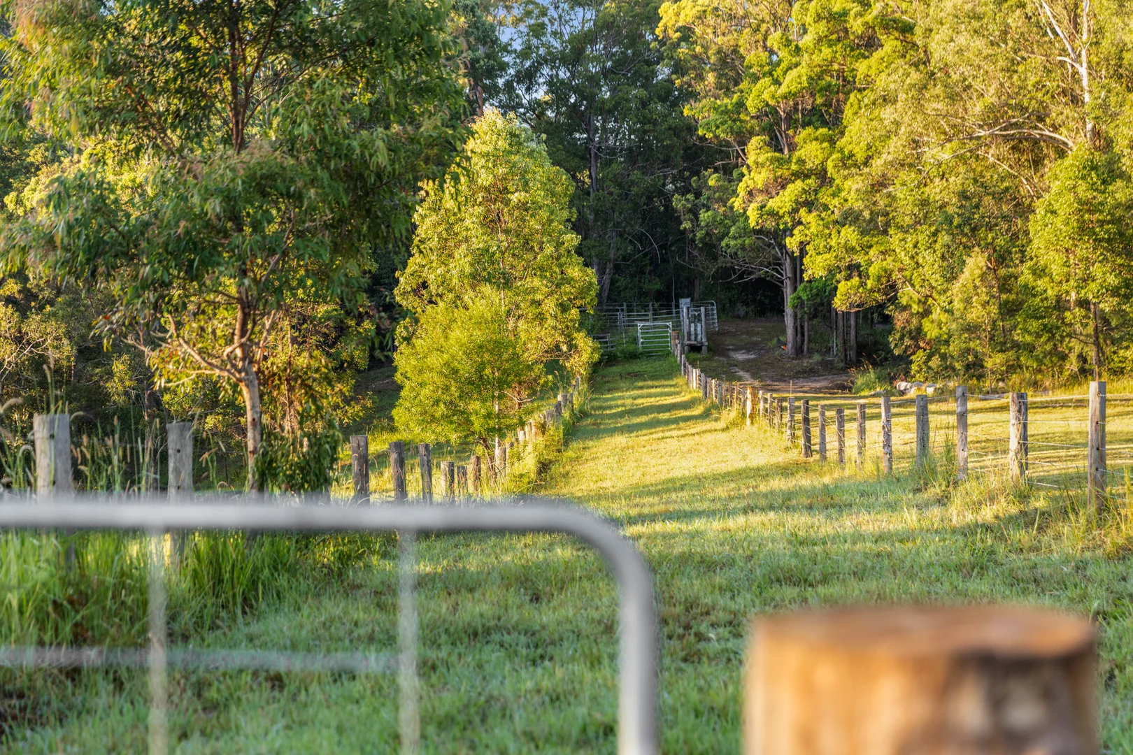 Additional image 28 of 141 Martells Road, Bellingen NSW 2454