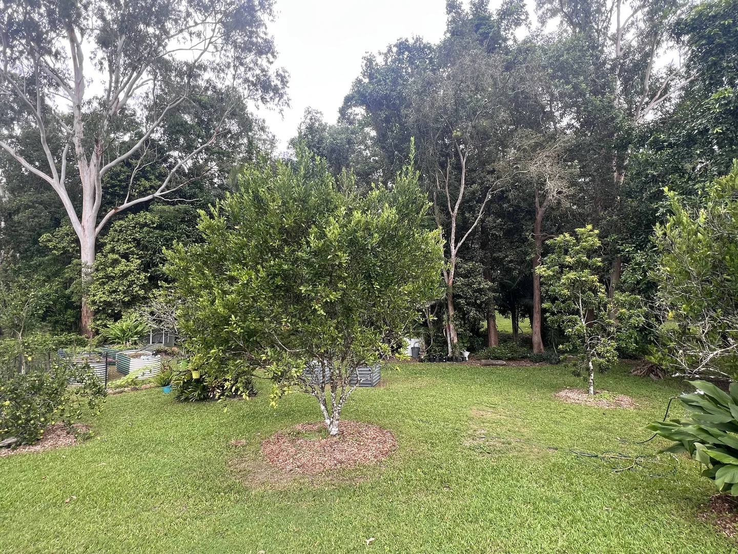 Additional image 31 of 297 Smith Cross Road, Devereux Creek QLD 4753