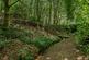 Additional image 38 of Astley, Stourport-on-Severn, Worcestershire