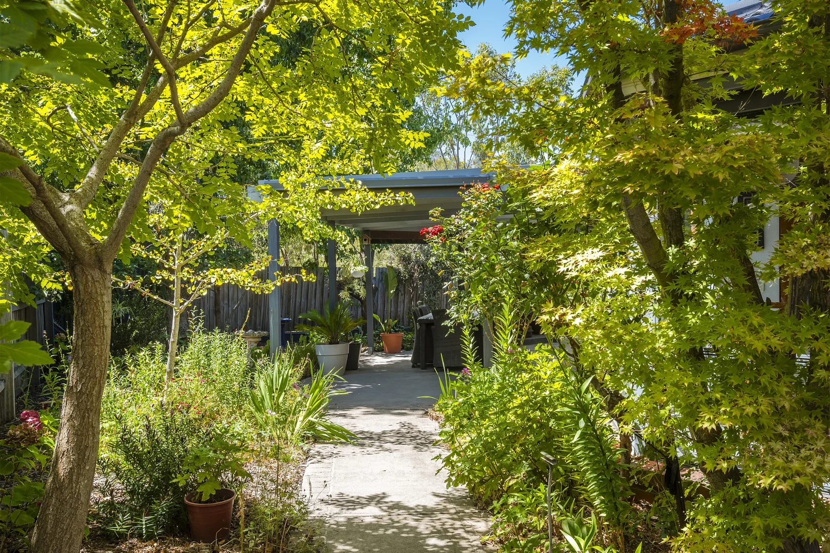 Additional image 17 of 8 Eucalypt Court, Riddells Creek VIC 3431