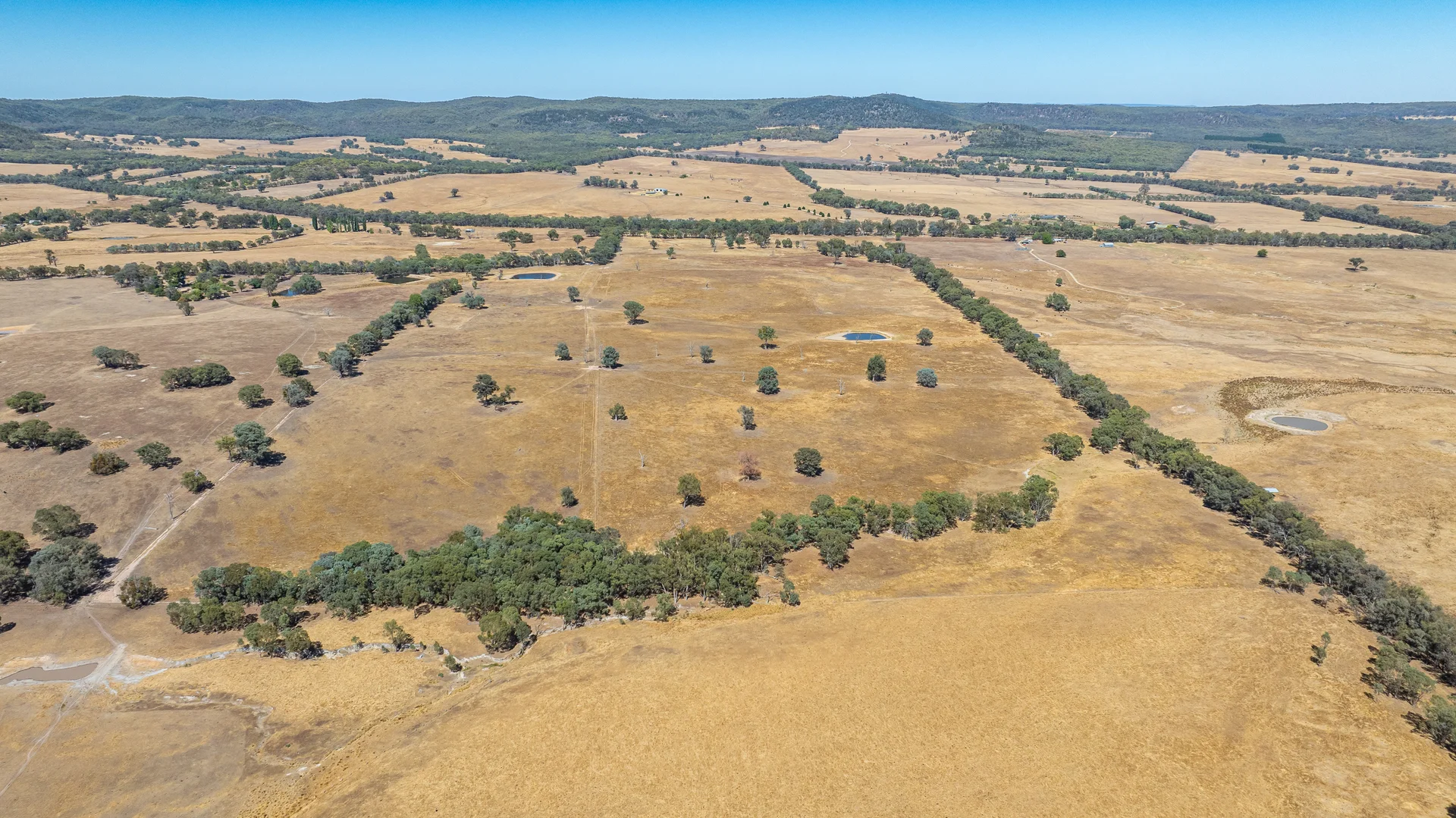 Additional image 5 of 175 Toveys Road, Chiltern VIC 3683