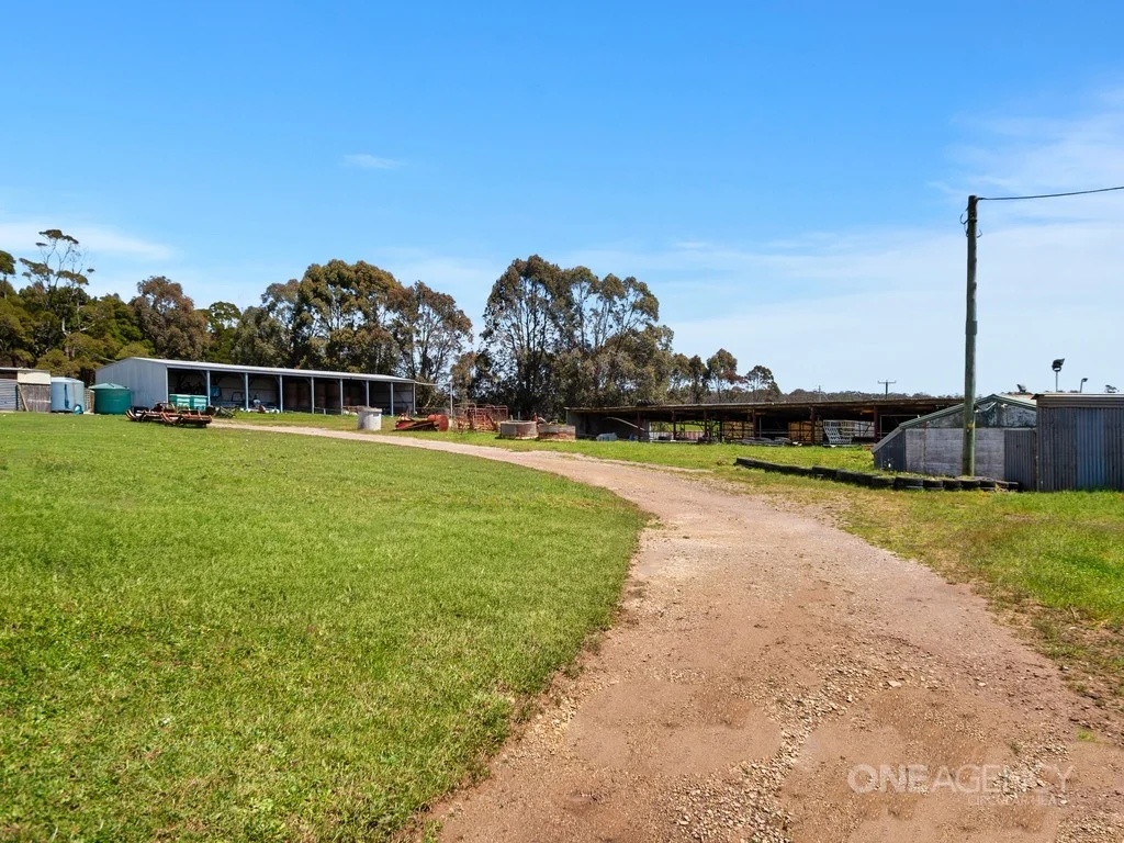 Additional image 16 of 108 Mclachlans Road, Irishtown TAS 7330