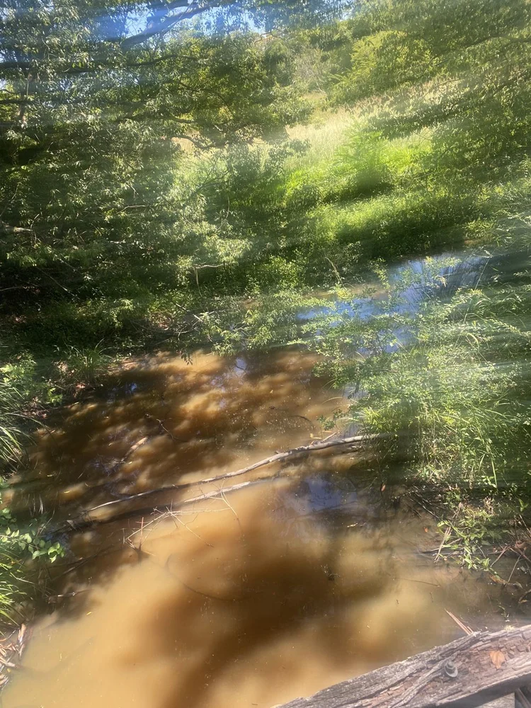 Additional image 17 of 17 Neilson Lane, Lorne NSW 2439