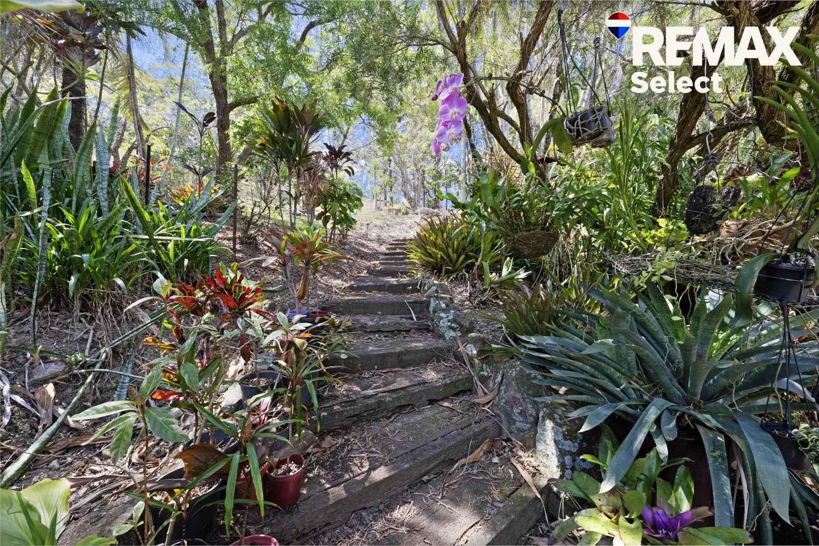 Additional image 32 of 391 Mackay-Habana Road, Nindaroo QLD 4740