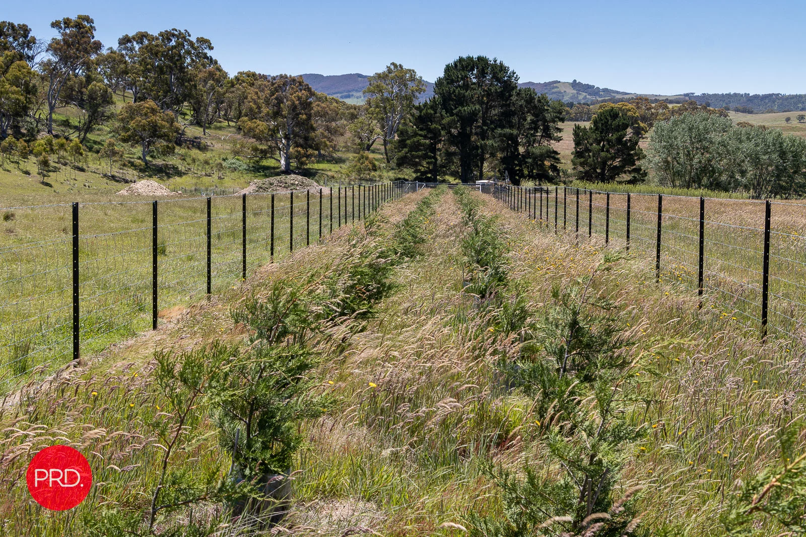 Additional image 11 of 2287 Bungendore Road, Tarago NSW 2580