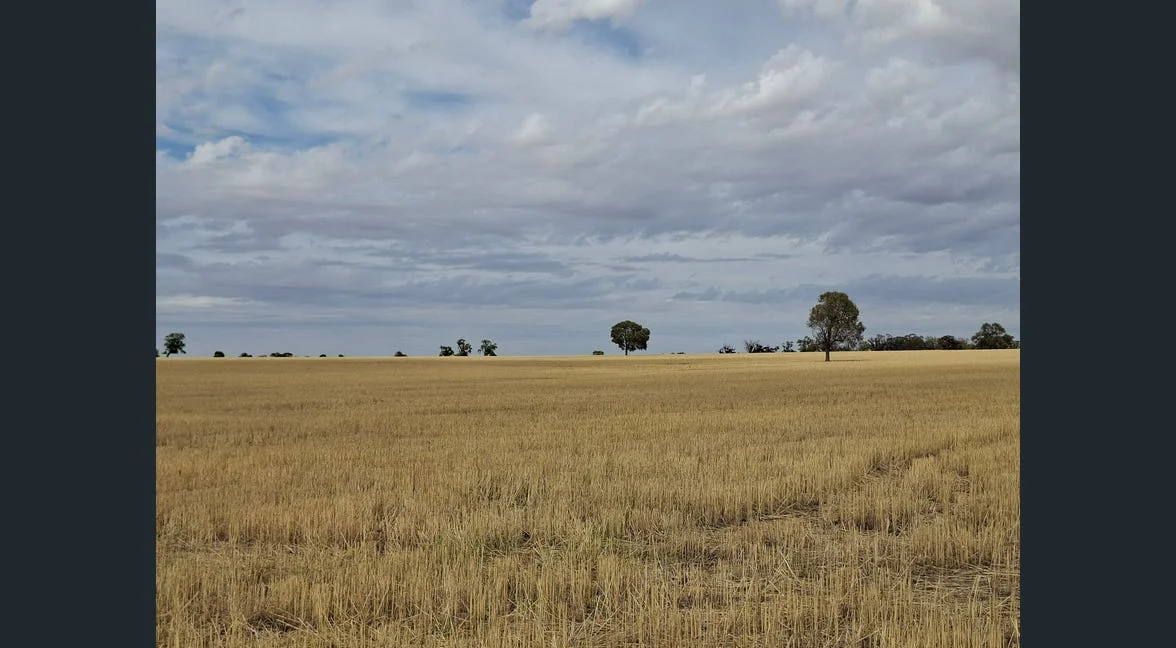 Additional image 28 of Alloway, Gilgandra NSW 2827