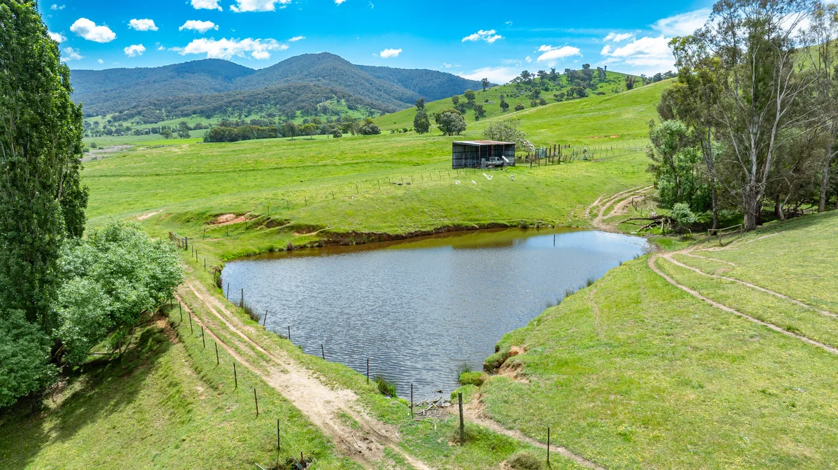 Additional image 4 of Swamp Lane, Dederang VIC 3691